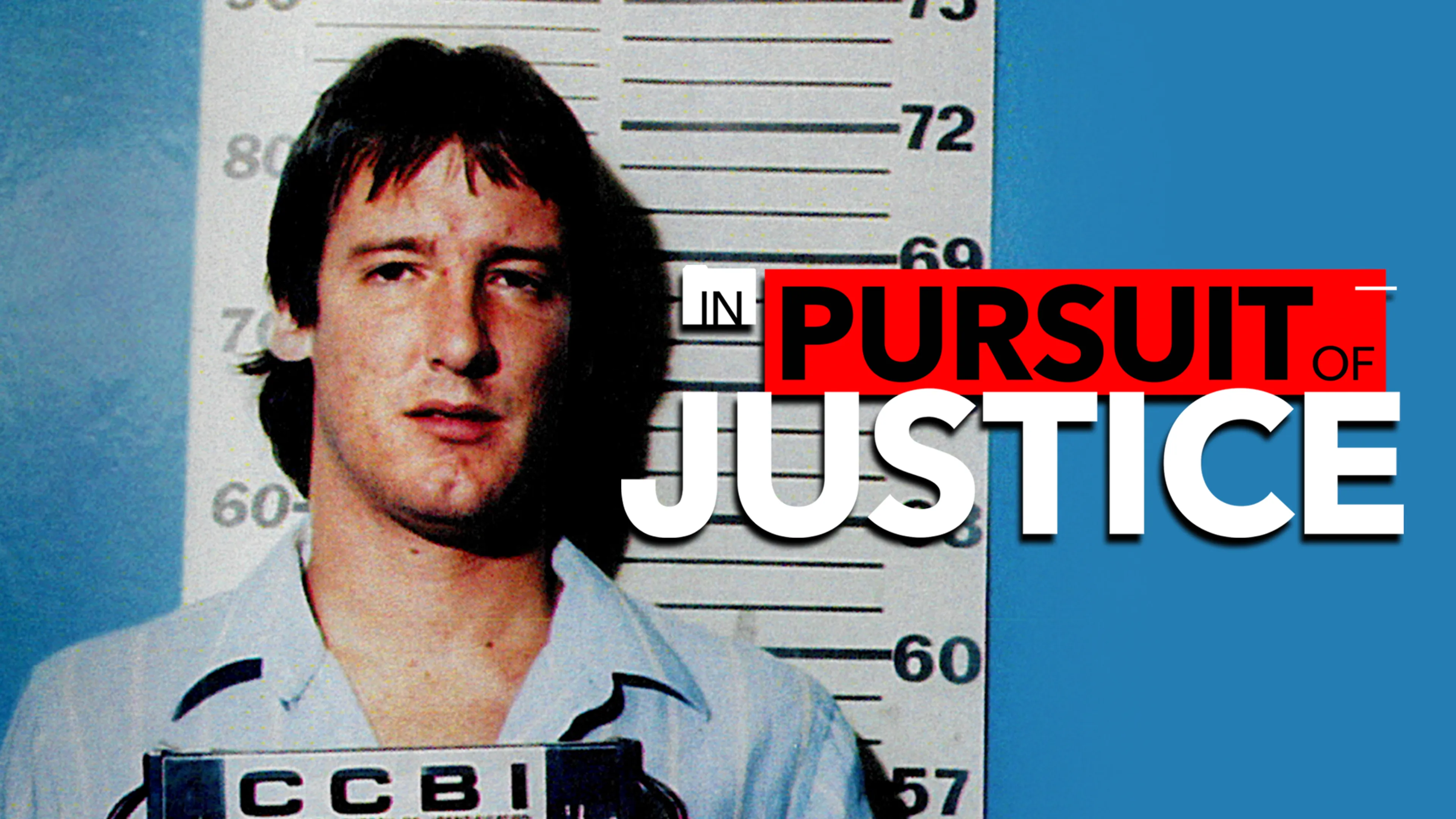 In Pursuit of Justice poster